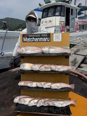 アマダイ(アカアマダイ)