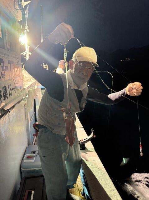 マイカ(ケンサキイカ)