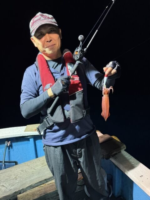 マイカ(ケンサキイカ)