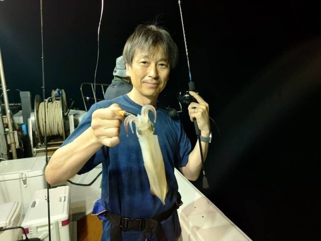 マイカ(ケンサキイカ)