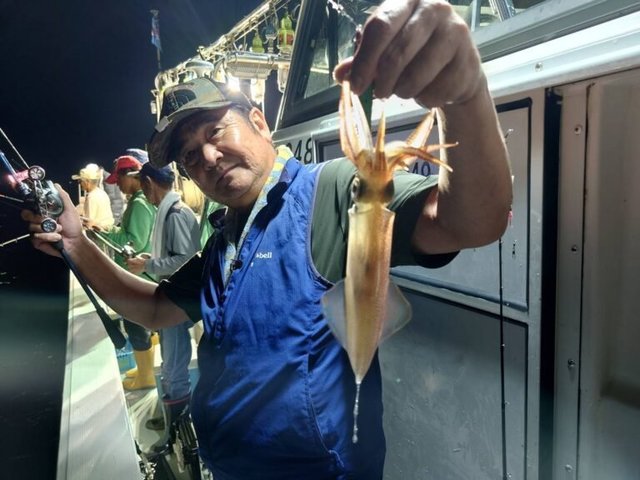 マイカ(ケンサキイカ)