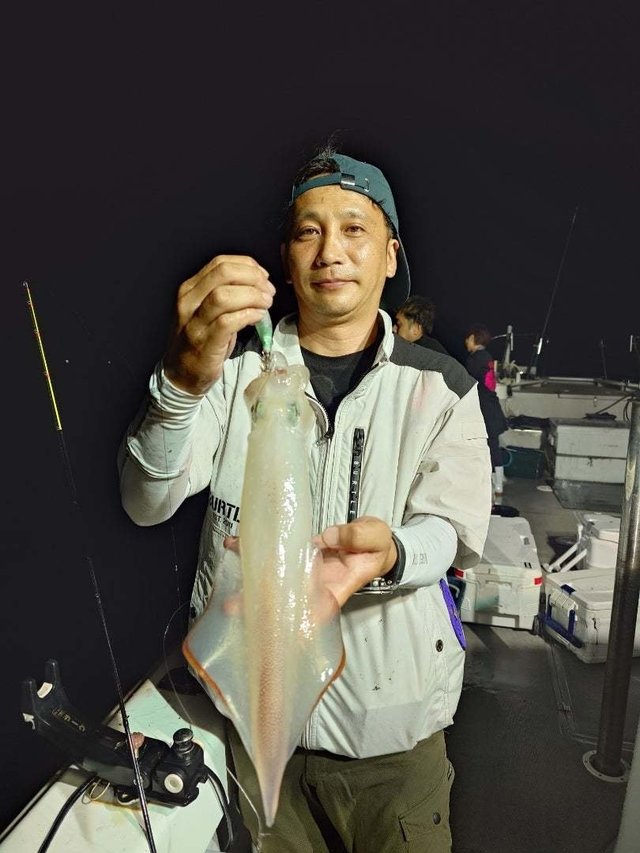 イカ(ケンサキイカ)