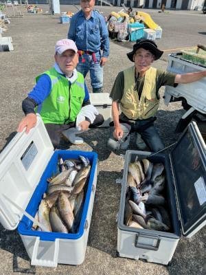 イサギ(イサキ)