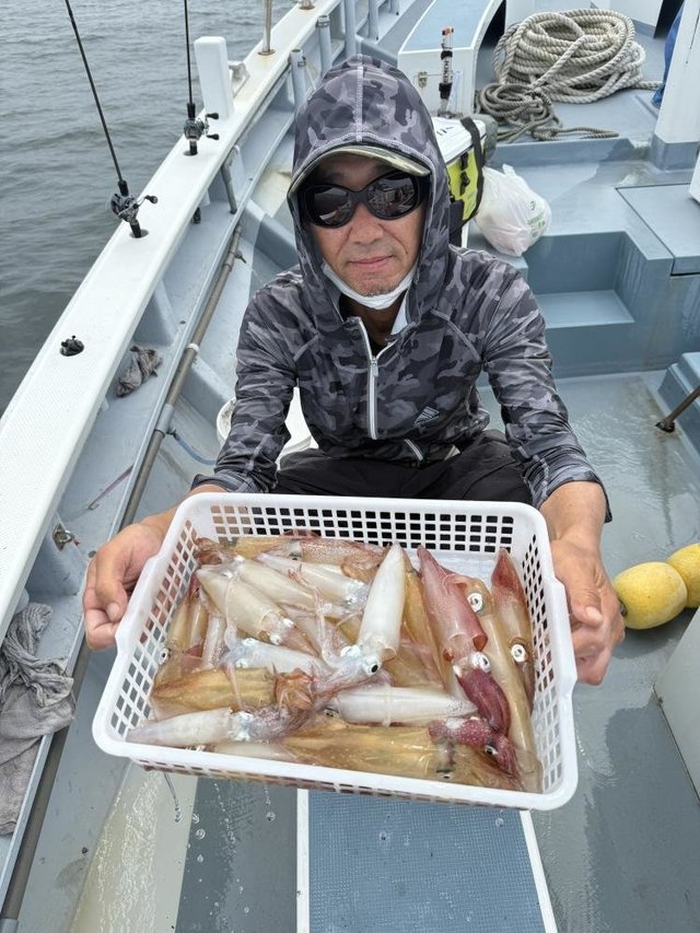 マルイカ(ケンサキイカ)