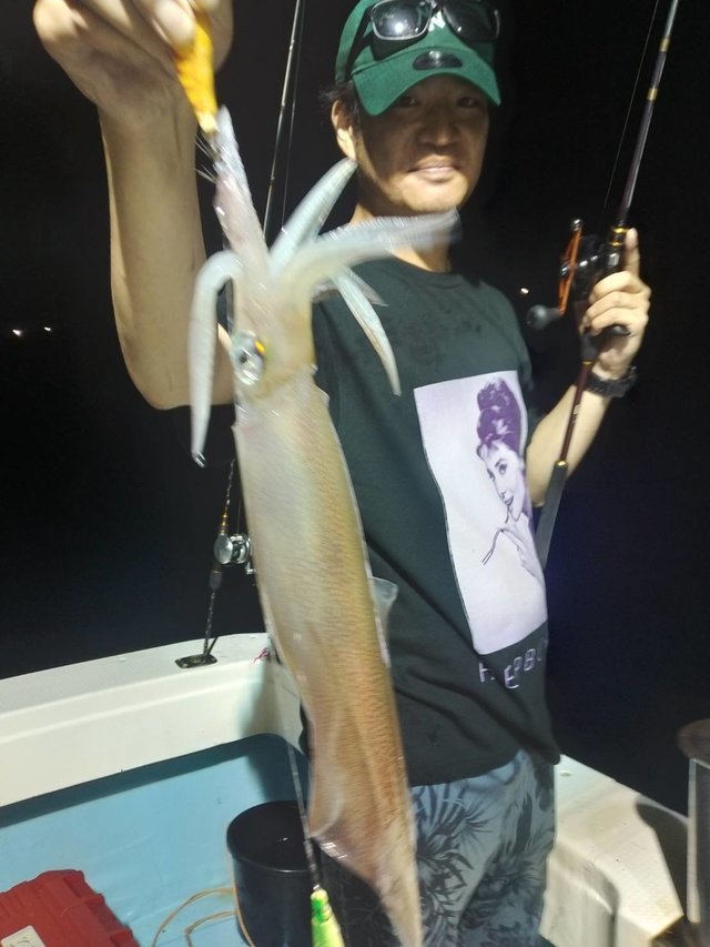 イカ(ヤリイカ)