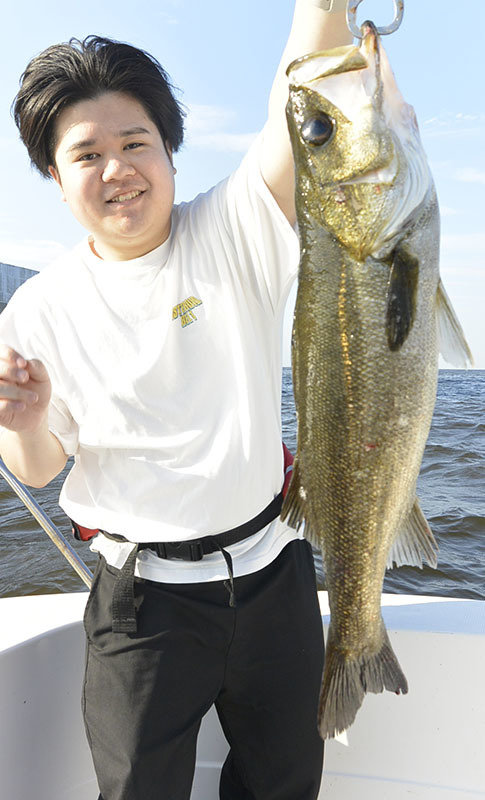 シーバス(スズキ)