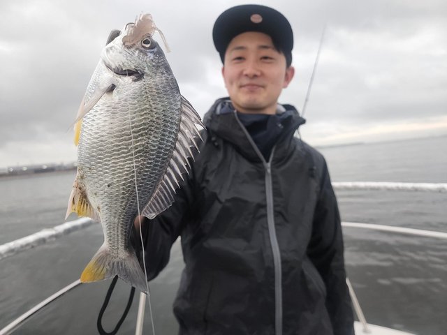 キビレ(キチヌ)