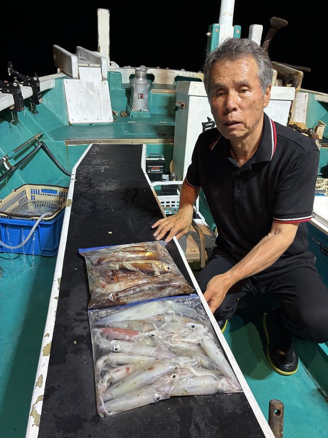 アカイカ(ケンサキイカ)