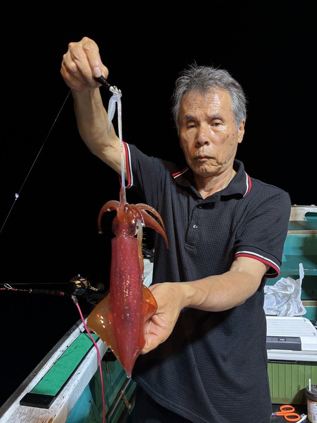 アカイカ(ケンサキイカ)