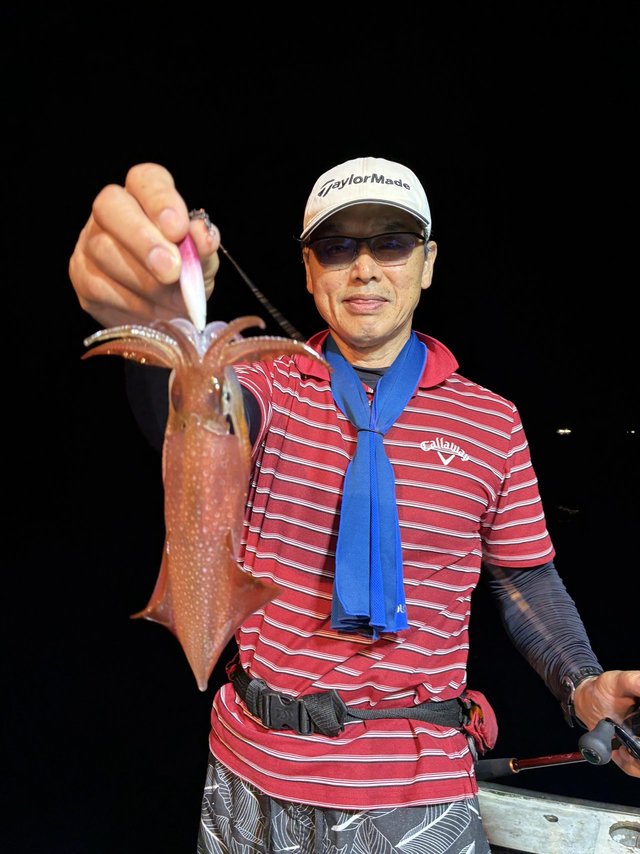 アカイカ(ケンサキイカ)