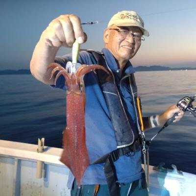 マイカ(ケンサキイカ)