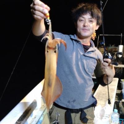 マイカ(ケンサキイカ)