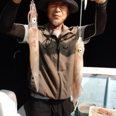 マイカ(ケンサキイカ)