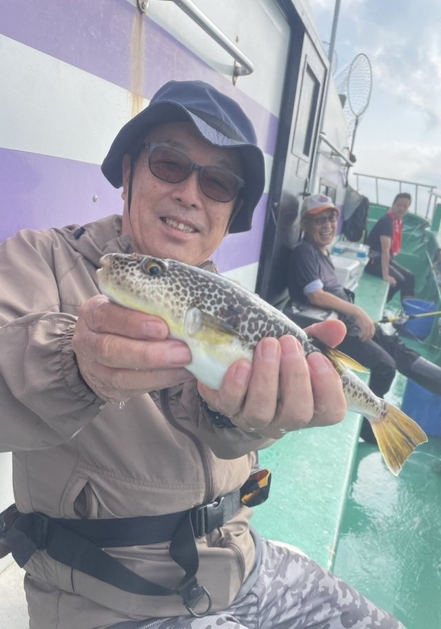 ショウサイフグ