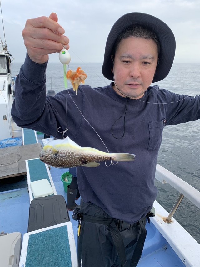 ショウサイフグ