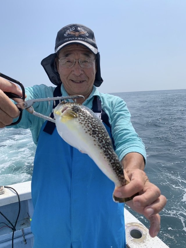 ショウサイフグ