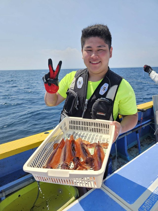 スルメ(スルメイカ)