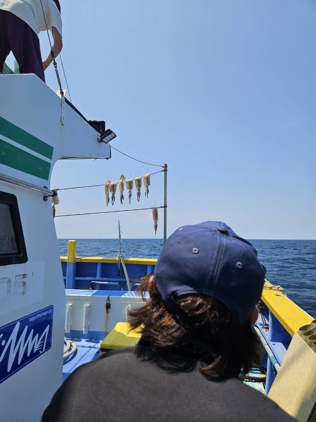 スルメ(スルメイカ)