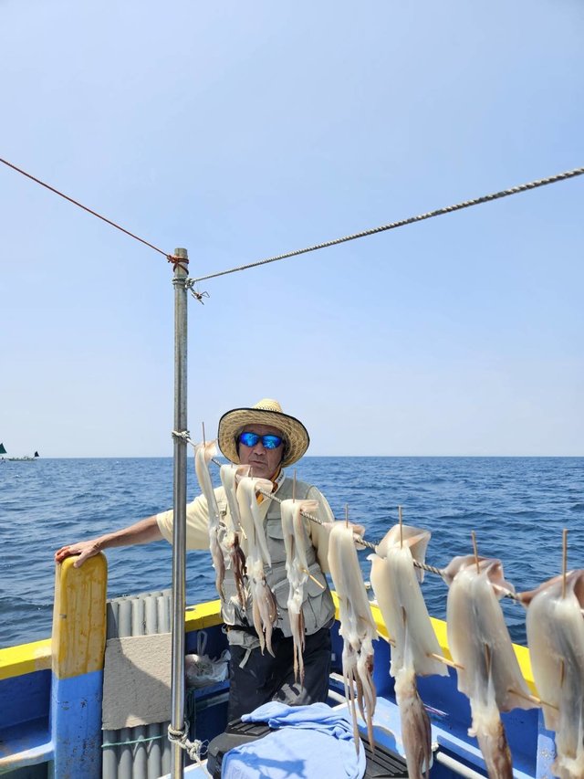 スルメ(スルメイカ)