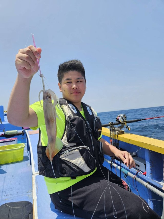 スルメ(スルメイカ)