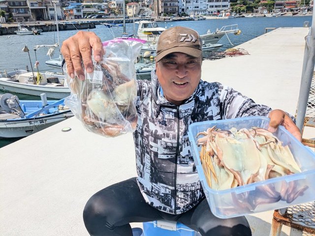 スルメ(スルメイカ)