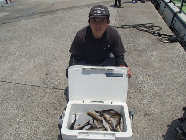 マアジ・イサキ