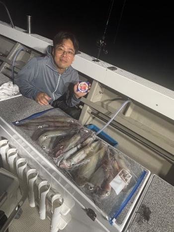 マイカ(ケンサキイカ)