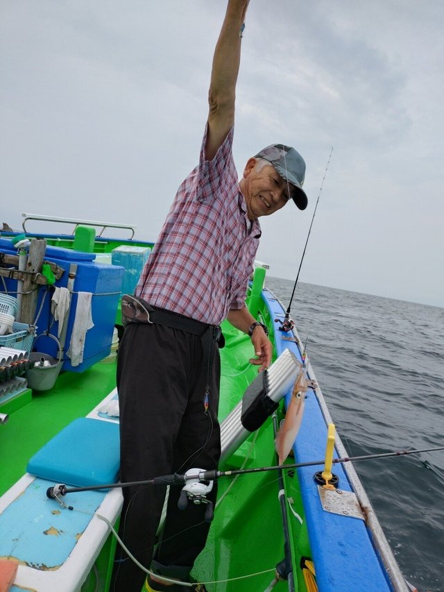 マルイカ(ケンサキイカ)