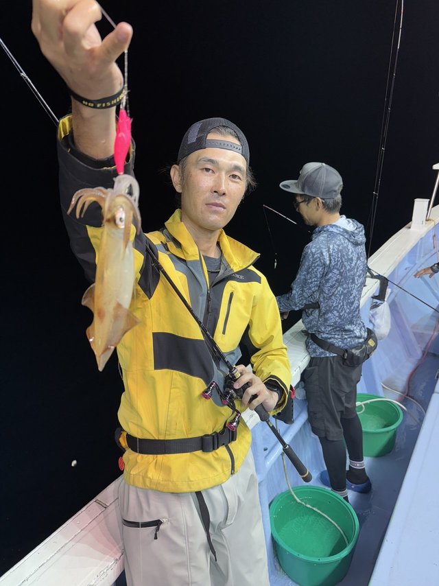 マルイカ(ケンサキイカ)