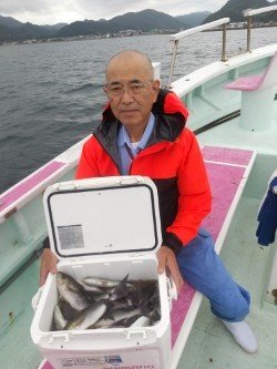 アジ(マアジ)・イサキ