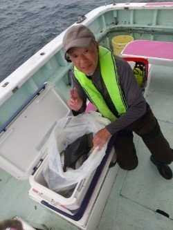 アジ(マアジ)・イサキ