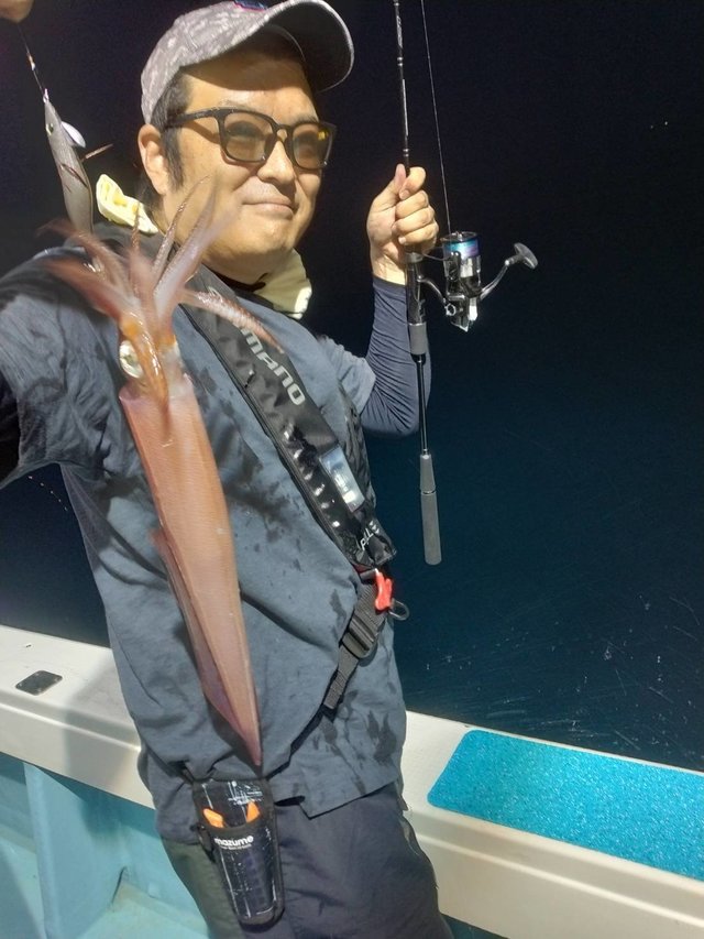 イカ(ヤリイカ)