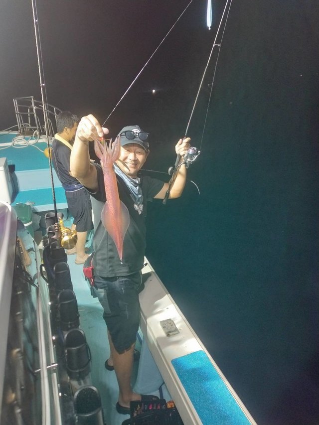 イカ(ヤリイカ)