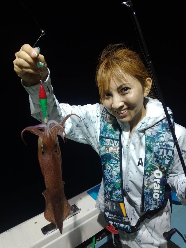 イカ(ヤリイカ)