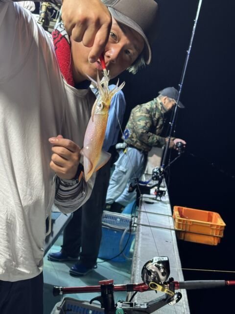 マイカ(ケンサキイカ)