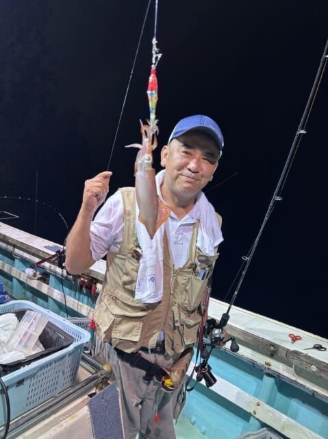 マイカ(ケンサキイカ)