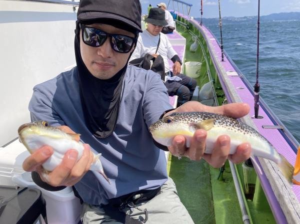 ショウサイフグ