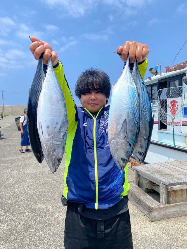 スマガツオ(スマ)