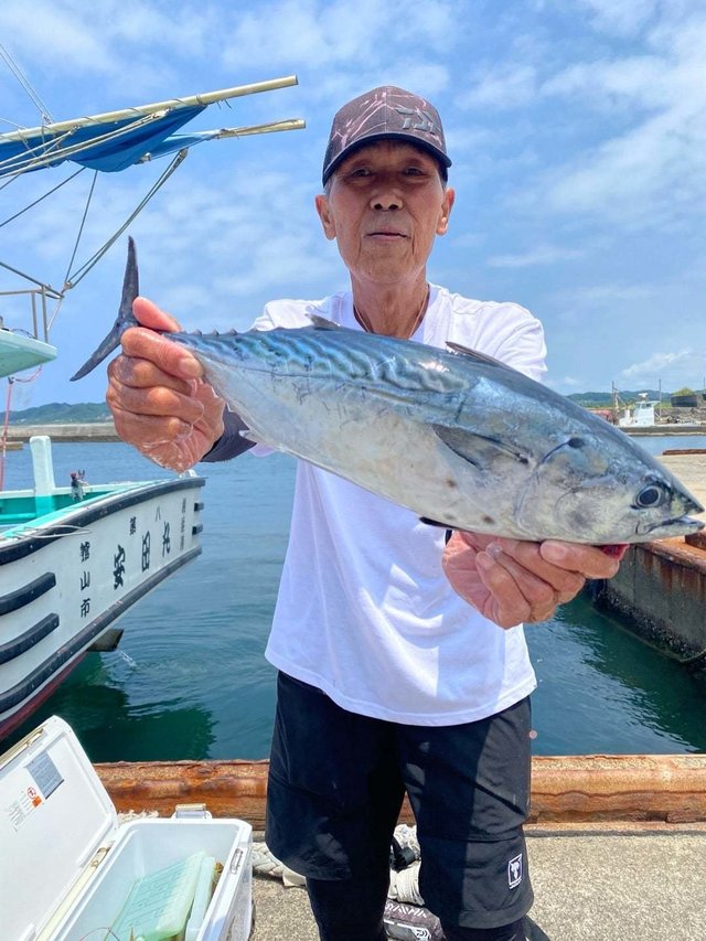 スマガツオ(スマ)