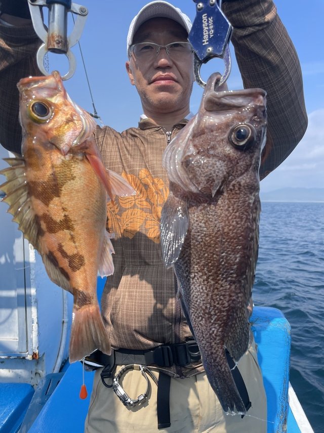 クロソイ・メバル