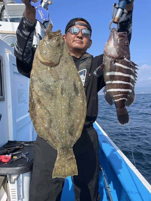 マハタ・ヒラメ