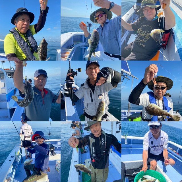 ショウサイフグ