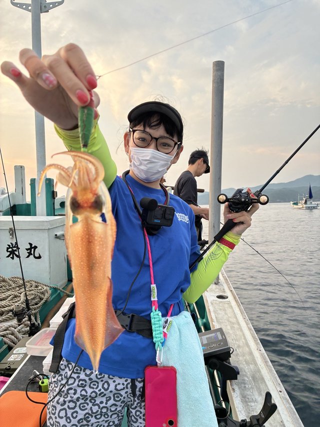 アカイカ(ケンサキイカ)