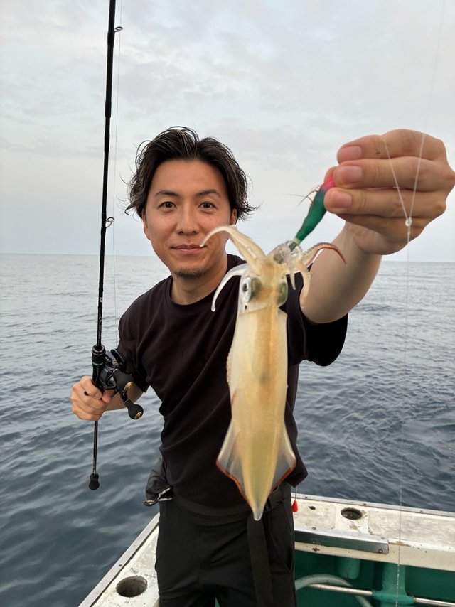 アカイカ(ケンサキイカ)