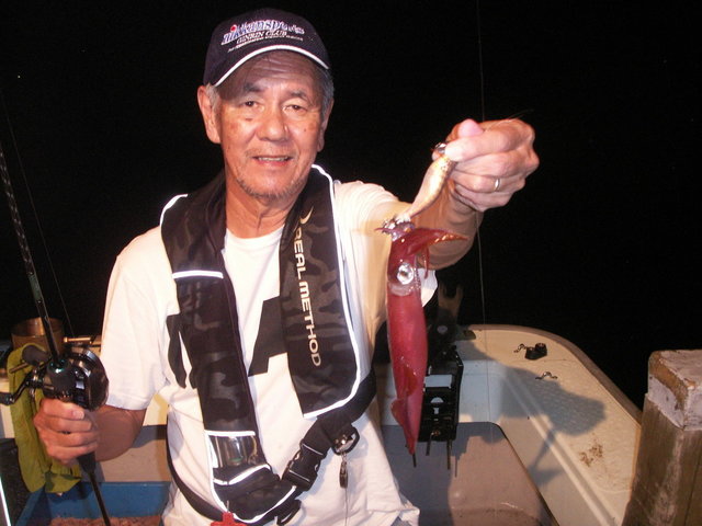 シロイカ(ケンサキイカ)