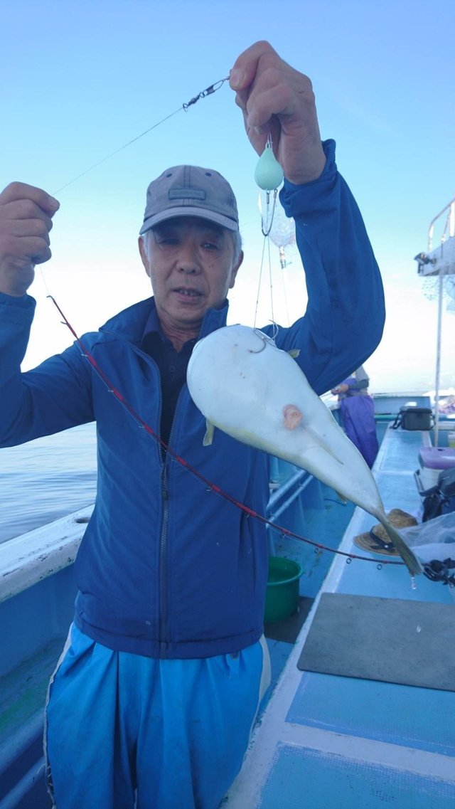 ショウサイフグ