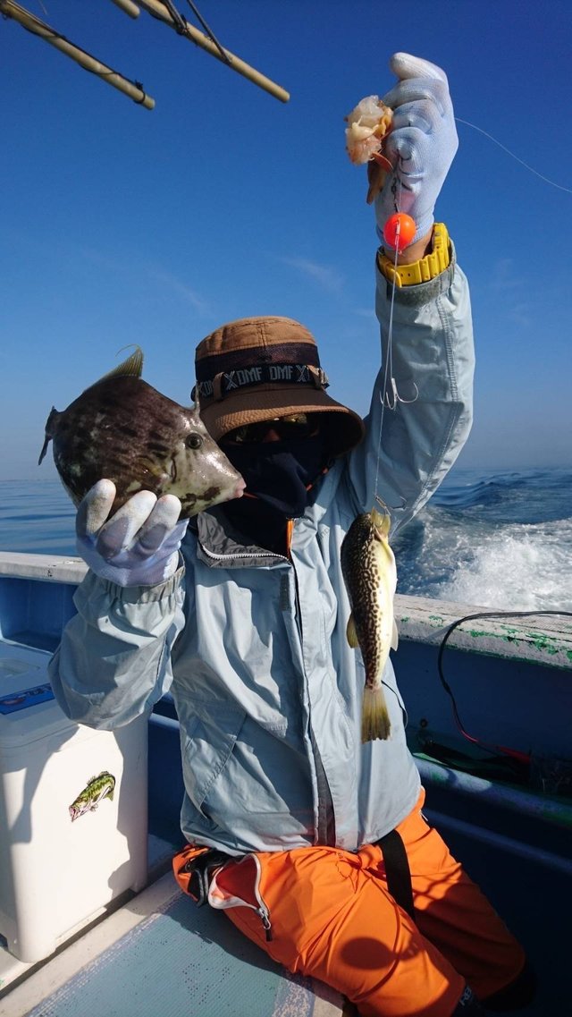 ショウサイフグ