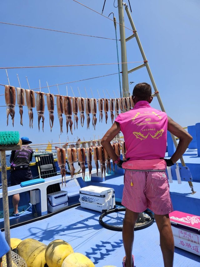 スルメ(スルメイカ)