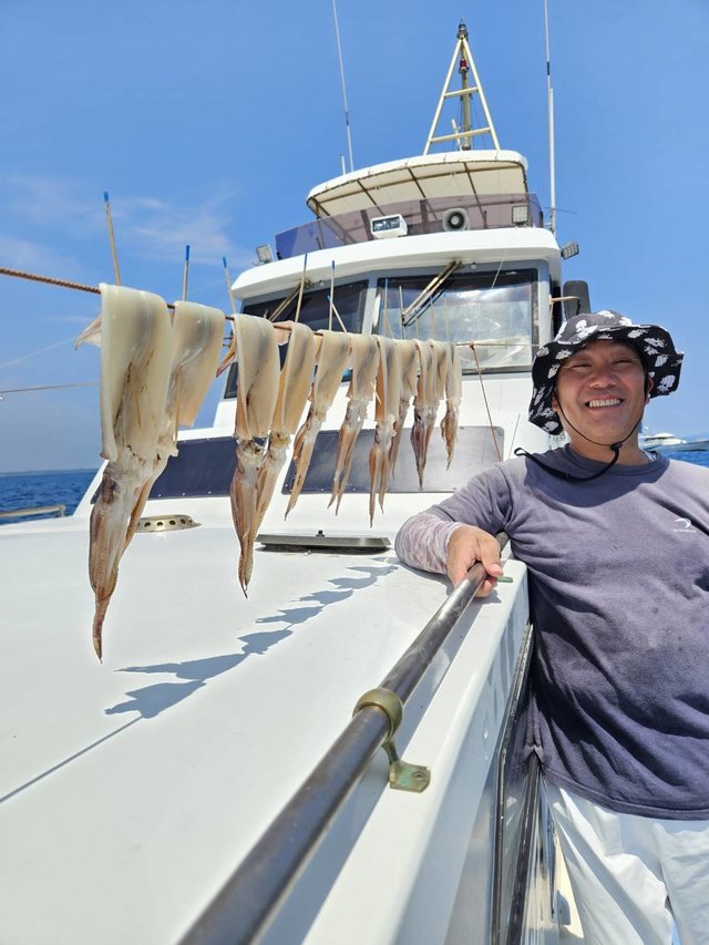 スルメ(スルメイカ)