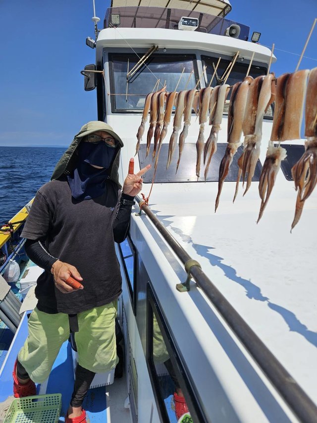 スルメ(スルメイカ)